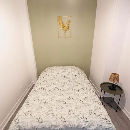 Verdant Oasis - Proche Du Centre - Wifi Gratuit - Parking A Proximite Apartmán Lurdy
