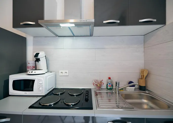 Verdant Oasis - Proche Du Centre - Wifi Gratuit - Parking à Proximité Appartement Lourdes